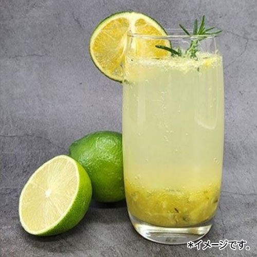 jejufeel �ѽ��Ĥߤ��󥨡��� 230mL��1�� �ѥ����ɥ�� �ڹ���� �ڹ���