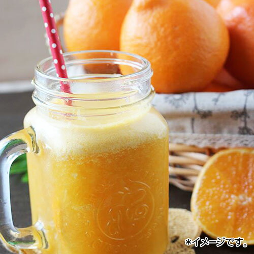 jejufeel �ѽ��ϥ��ܥ󥨡��� 230mL��1�� �ǥ��ݥ󥨡��� �ѥ����ɥ�� �ڹ���� �ڹ���