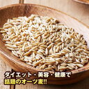 ★宅急便コンパクト発送★『食材』オーツ麦lえん麦(500g)■韓国産スーパーフード ダイエット麦ごはん GI食品 βグルカン 穀物 麦ご飯 雑穀の麦 健康＼糖質の吸収を穏やかにする低GI食品／マラソン ポイントアップ祭