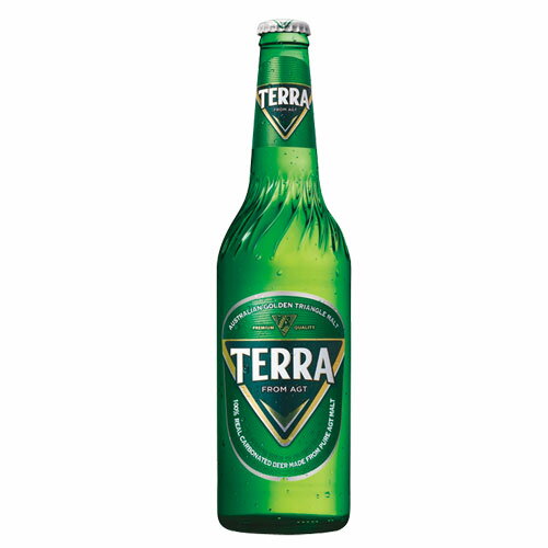 JINRO テラビール 瓶ビール・500ml 1本 TERRA 眞露ビール 韓国レギュラーラガ 韓国ビール 韓国お酒 韓国酒 韓国食品マラソン ポイントアップ祭 スーパーセール