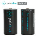 Pale Blue [dr P1` y[u[ USBX}[g[dr `E[dr USB-C[d 1000JԂ 1.5Vd 2{Zbg