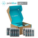 Pale Blue 充電池 単3形 単4形 各8本セット サステナブルキット ペールブルー公式 USBスマート充電池 リチウム充電池 USB-C充電 1000回繰り返し 1.5V高電圧