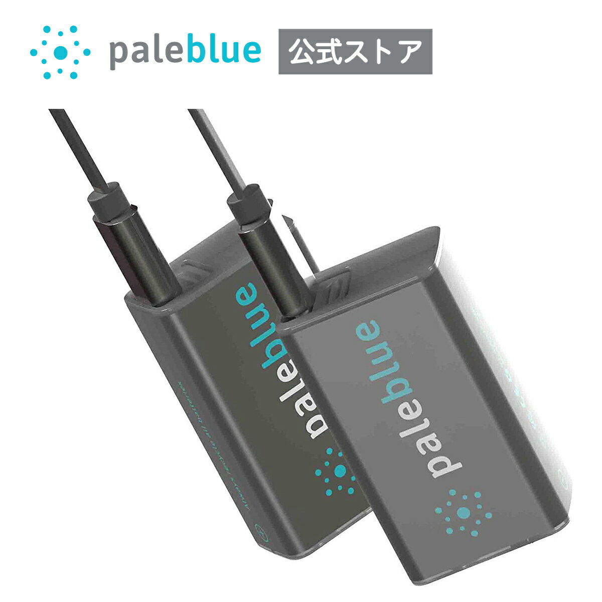 Pale Blue充電池 9V形 ペールブルー公式 USB-C モデル USB充電 1000回繰り返し 2本セット