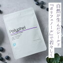 【期間限定300円オフクーポン配布中!】パレオな商品開発室 Polyohel-ポリフェル- 30日分 ポリフェノール カシス アントシアニン サプリメント 若々しさ 抗酸化 エイジングケア サプリ メンズ 食物繊維 美容 健康 健康食品 パレオな男 鈴木祐