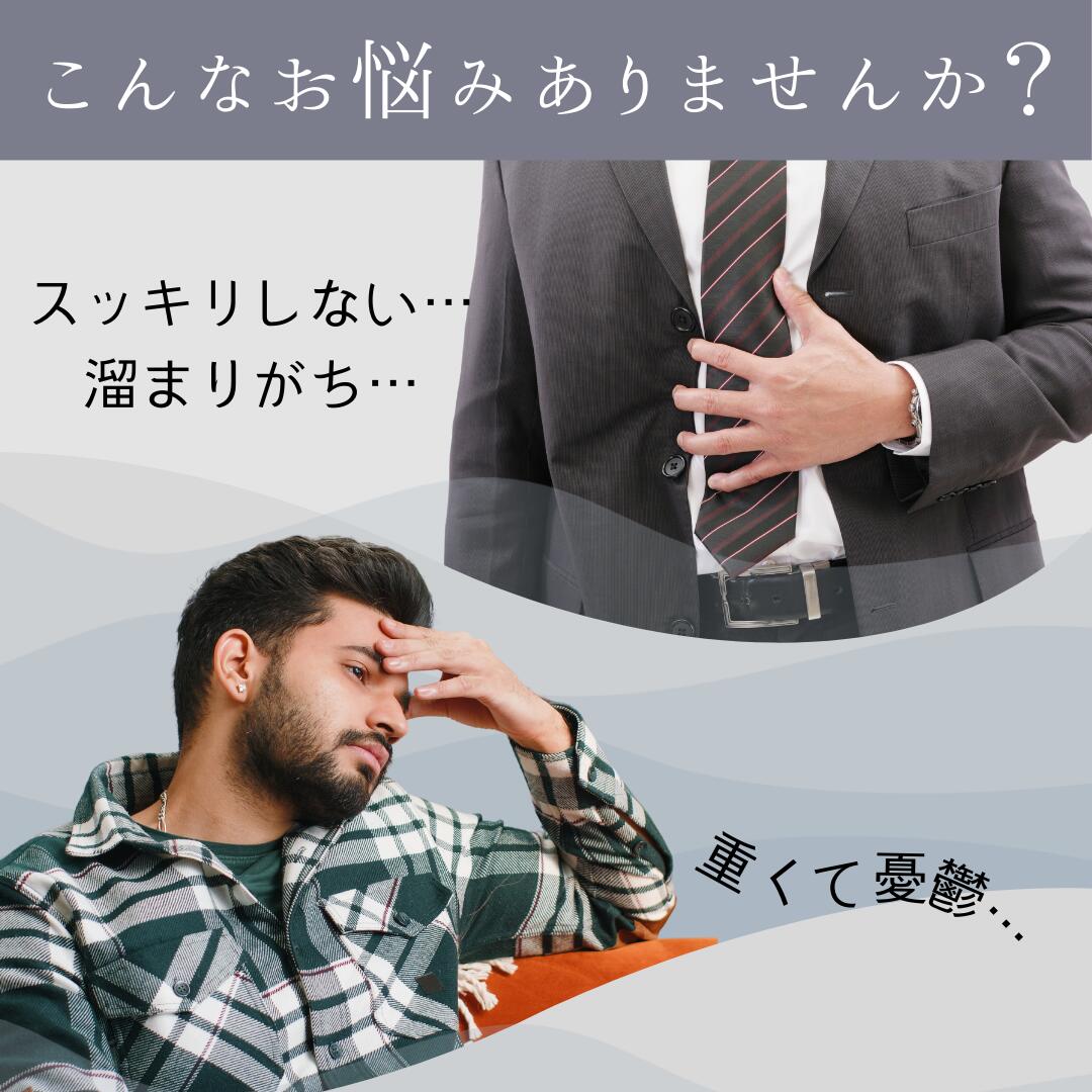 PALEO LABO【公式】｜Paleotics-パレオティクス- | 270粒 30日分 シンバイオティク...