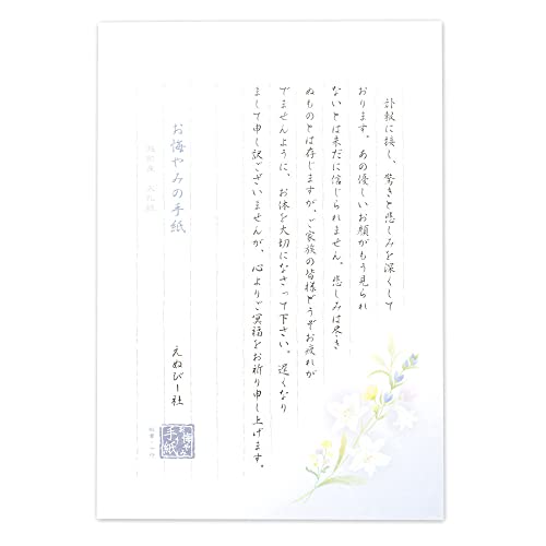 エヌビー社 伝えるきもち B5相当 便箋 お悔やみ | 18枚 縦書き香典 添え状