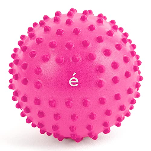 サクライ貿易(SAKURAI) エルガム(erugam) 内もも鍛え 下半身トレに—ニング エクササイズボール 内ももスリム プレゼント 541