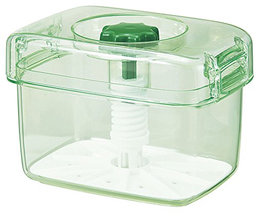 新輝合成 トンボ 保存容器 漬物容器 3.1リットル 手軽に漬けられる 中身が見やすい スケルトングリーン ピクレ K30 幅24×奥行15.5
