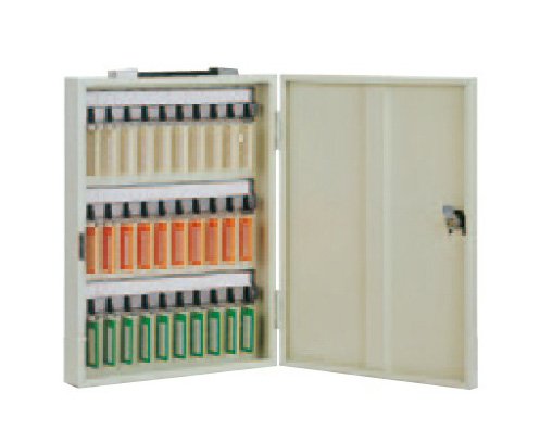 杉田エース エースキーボックス CIタイプ 携帯・固定兼用 30本用 (CI-30)