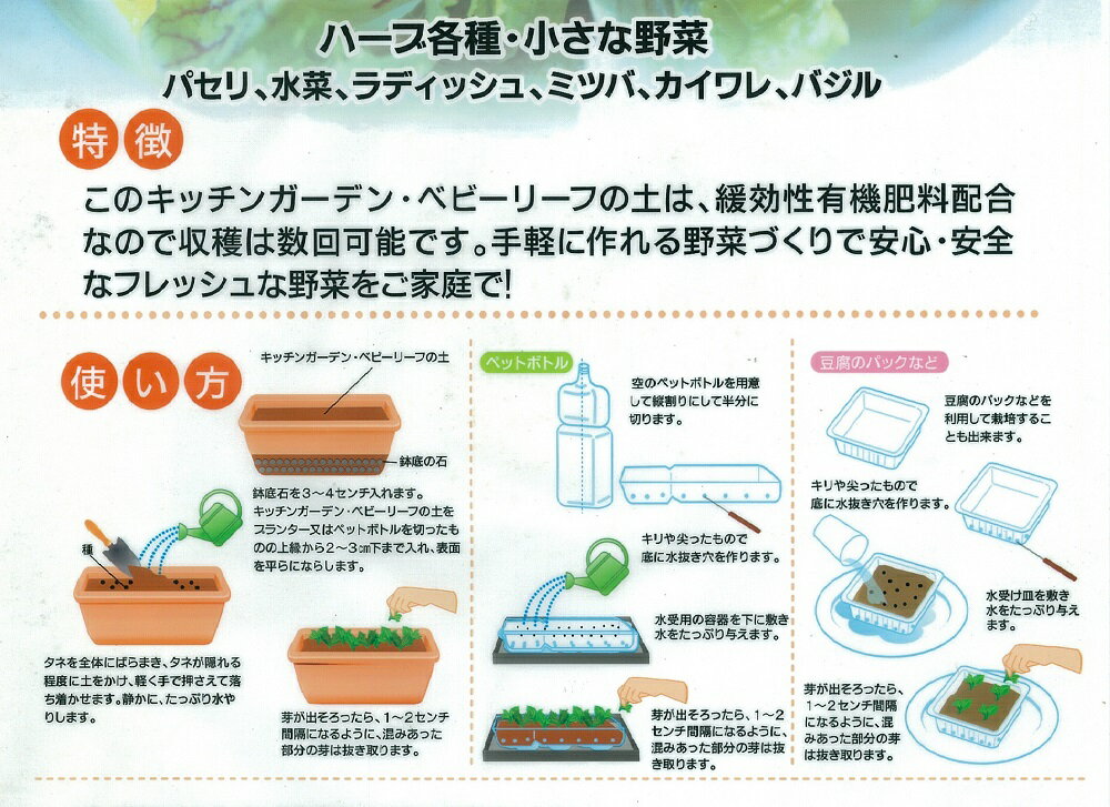 �����ͥ����ֱ�ۥ��å��󥬡��ǥ󡦥٥ӡ��꡼�դ��ڡ�5L���ϡ��ֳƼ���������