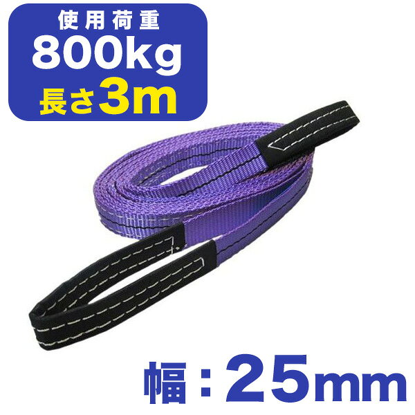 フリーク ベルトスリング E型(アイ型)幅：25mm×長さ：3m