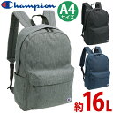 チャンピオン リュック Champion レディース メンズ ドリュー リュックサック バックパック デイパック バッグ カバン 通勤 通学 通勤用 中学生 高校生 学生 ユニセックス アウトドア 旅行 部活 黒リュック ブラック スポーツ シンプル 軽量 A4 16L 67905