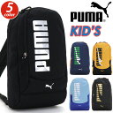 ボディーバッグ PUMA プーマ ボディバッグ 男の子 男子 ワンショルダー キッズ バッグ 子供 子ども B5 かばん おしゃれ 人気 縦型 旅行 ブラック ...