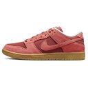 2022 NIKE SB / iCLDunk Low 