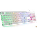 LANGTU メンブレンゲーミングキーボード レインボーLEDバックライト静かなキーボード オフィス用 USB有線全金属パネル 25キー 送料無料