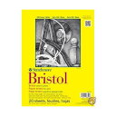 Strathmore Vellum Bristol Paper Pad 14