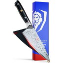 DALSTRONG Small Chef's Knife - Shogun Series X Gyuto VG10 Hammered