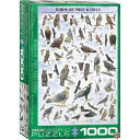 【14-15日限定!1000円クーポン20名様】ジグソーパズル 1000ピース ユーログラフィックス 猛禽とフクロウ 6000-0316