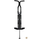 【最大2,025円OFFクーポン配布中】Flyar(フライバー)BL Master pogo(BLマスターポゴスティック)#2060 送料無料