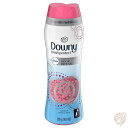 ダウニー Downy フレッシュ プロテクト ファブリーズ 防臭消臭ビーズ エープリル フレッシュの香り 10oz(283.53g) 21回分 送料無料