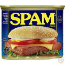【19日20時〜!1000円クーポン20名様】Spam スパム クラシック 12オンス(340.2g) (12パック)