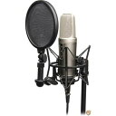 【 先着55名! 2日間限定ゾロ目555円クーポン】RODE Microphones ロードマイクロフォンズ NT2-A コンデンサーマイク NT2A 送料無料