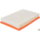 FRAM Group CA9401 Air Filter (並行輸入品)