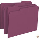 【最大2,025円OFFクーポン配布中】File Folders, 1/3 Cut Top Tab, Letter, Maroon, 100/Box (並行輸入...