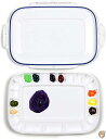 Airtight Peel-Off Palette-3.5
