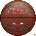 Wilson(ウイルソン) バスケットボール NBA TEAMシリーズ メンズ (使用コート : インドア&アウトドア用)