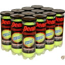 【 先着55名! 2日間限定ゾロ目555円クーポン】Penn Championship Extra Dutyテニスボール