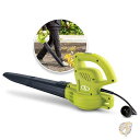 【先着30名様!全品555円OFF】Sun Joe サンジョー 家電 掃除機 電動 ブロワー グリーン SBJ597E