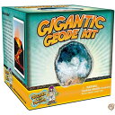【14-15日限定!1000円クーポン20名様】Break Open A Gigantic Geode - This Large Rock Has Amazing Crystals 送料無料