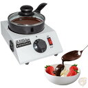 チョコレートメルティングポット ALDKitchen テンパリングマシーン バレンタイン義理チョコ バレンタインデー 義理チョコ作り チョコ溶かす 誕生日 デコ...