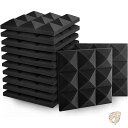 【最大2,025円OFFクーポン配布中】Sonic Acoustics ソニックアクースティック レコーディンググッズ 音響パネル 防音パネル ブラック12枚セ...