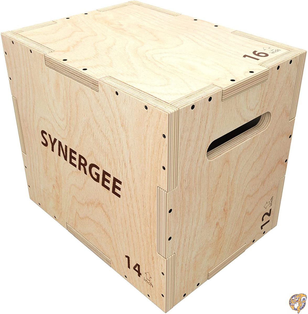 【クーポン配信中】シナジー3 in 送料無料