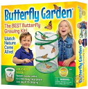 Insect Lore バタフライガーデン 蝶々育成キット 10416 観察グッツ 送料無料