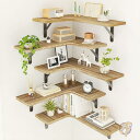 【15日限定555円クーポン】コーナーフローティングシェルフ 壁掛けコーナーシェルフ 5 個セット Corner Floating Shelves4448 Fi...