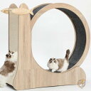 【4/30日限定★円高還元!!510円クーポン】猫用おもちゃ キャットホイール 3-in-1 猫エクササイズ ペット用品 1 CYlively