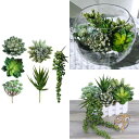 【先着30名様!全品555円OFF】人工多肉植物 観葉植物 6種の植物が楽しいセンターピースアメリカ輸入家具 アメリカ輸入雑貨 送料無料