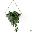 【先着50名様1000円クーポン】umbra 花器 植木鉢 鉢植え用 プランター 吊り下げ インテリア ブラック W22×D10.2×H39cm トリッグ L ...