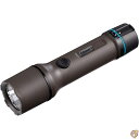 【 先着55名! 2日間限定ゾロ目555円クーポン】Coleman OneSource 充電式LED懐中電灯 防水懐中電灯 OneSourceバッテリー付き 最...