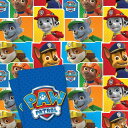 【ポイント3倍!4日20時28時間】Official Paw Patrol 2 Sheet and tag Gift Wrap Pack