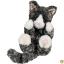 【10日26時間1000円クーポン20名様】Douglas Toysブラックandホワイト子猫Lil ' Handful 6 "