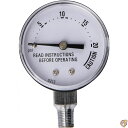 National Presto85771Pressure Gauge-PRESSURE CANNER GAUGE