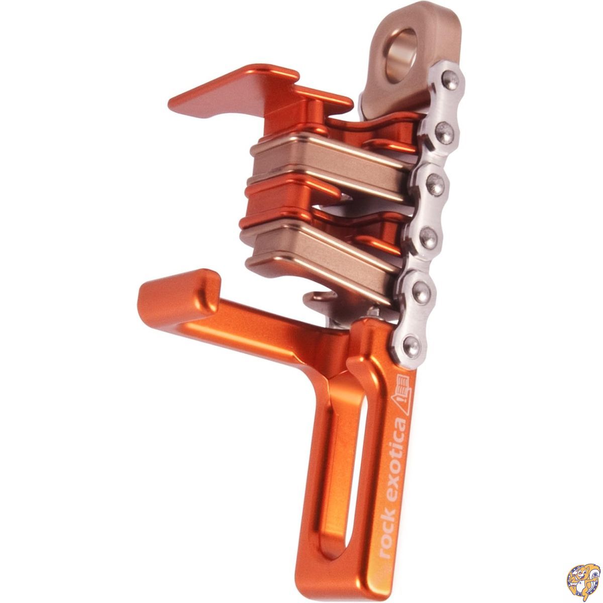 ڥݥۿRock Exotica ˥ ץ