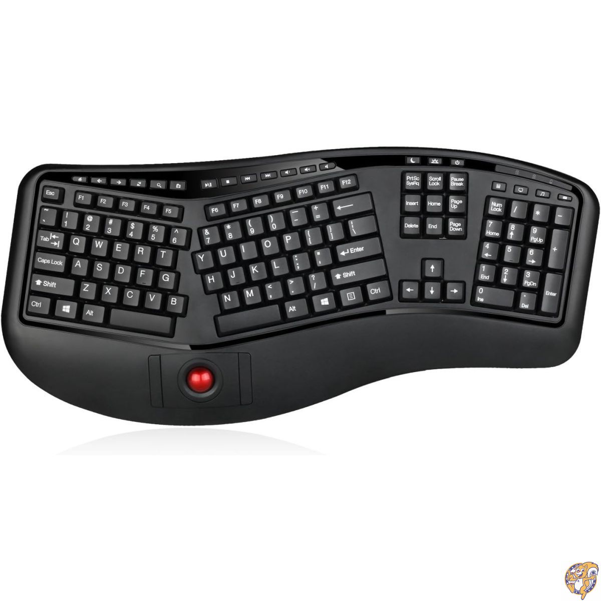 【注意事項】： ・当店でご購入された商品は、原則として、「個人輸入」としての取り扱いになり、全て米国からお客様のもとへ直送されます。 ・個人輸入される商品は、全てご注文者自身の「個人使用・個人消費」が前提となりますので、ご注文された商品を第...