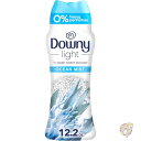 【先着55名様!全品555円クーポン配信中】ダウニー Downy セントブースター ライト ランドリー 香りブースター ビーズ 洗濯機用 オーシャンミスト 345g 強い香料なし 消臭剤 洗濯洗剤 アメリカ洗剤 日用品(3)