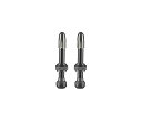 SCHWALBE シュワルベ SW-3470 チューブレスバルブ 仏式40mm