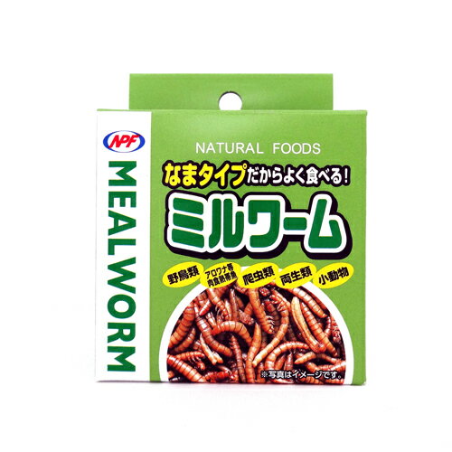 ●【NPF】ミルワーム 缶詰 35g